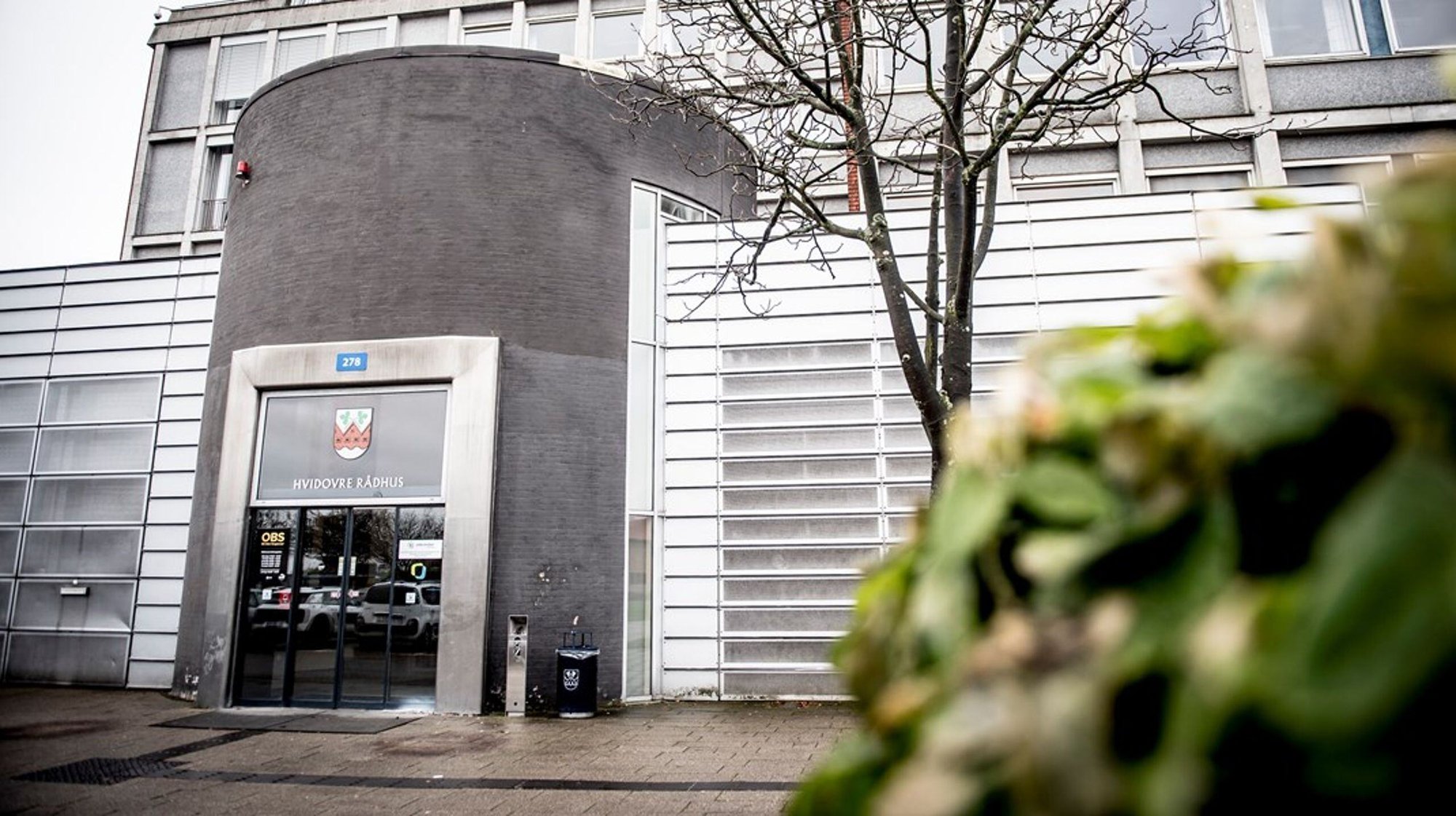 hvidovre rådhus3 hvidovre rådhus3